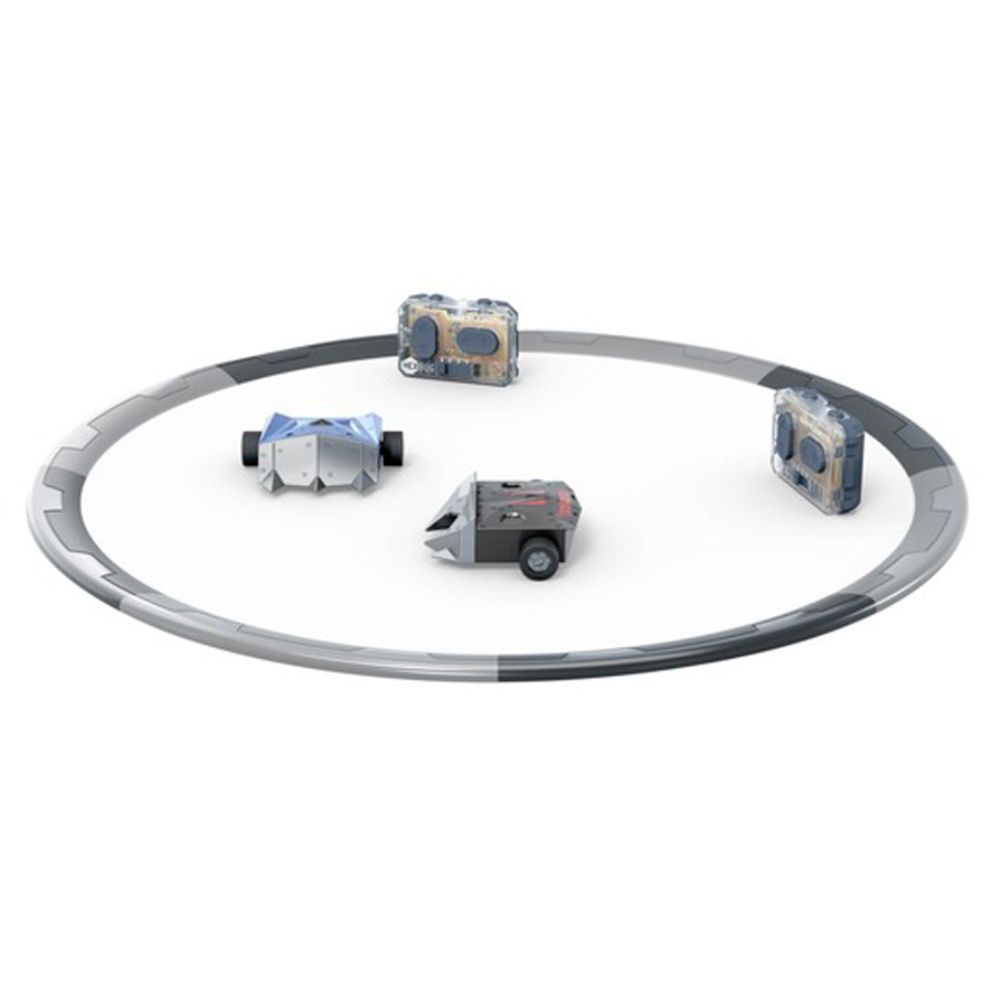 Battlebots Sumobash Arena 