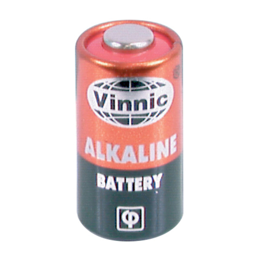 6 Volt Alkaline Battery 